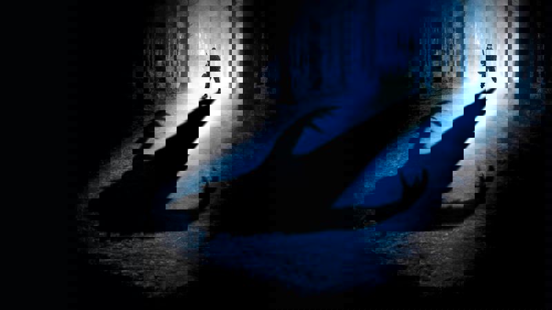 Movie scene