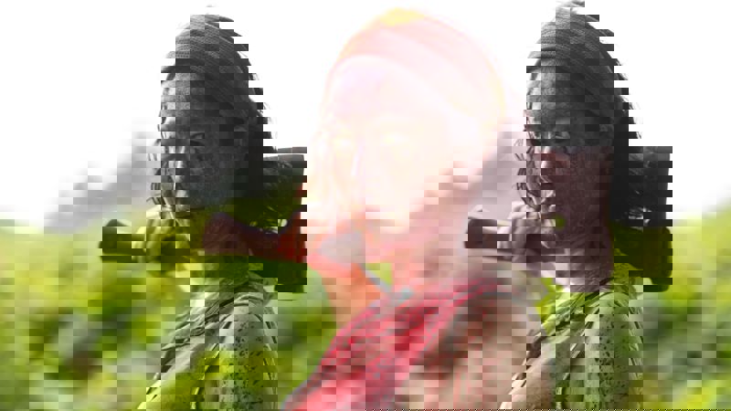 Movie scene