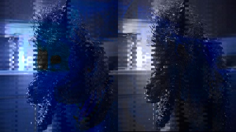 Movie scene