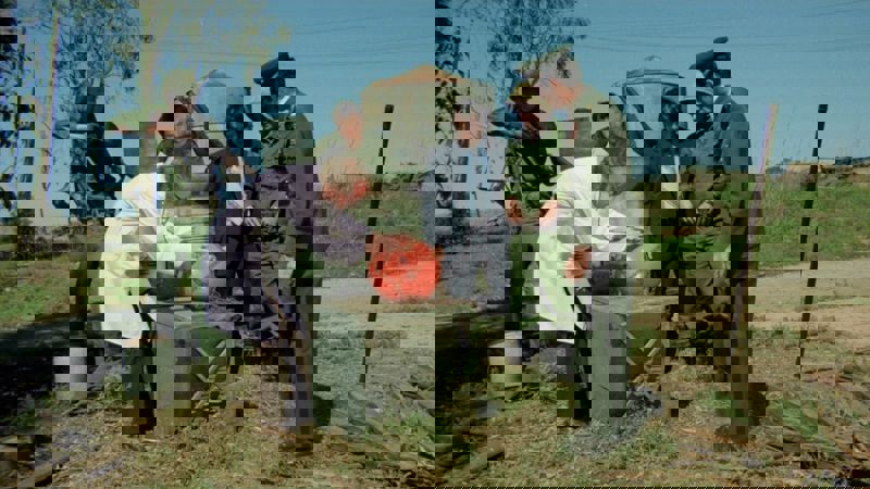 Movie scene