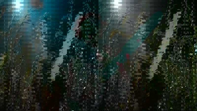 Movie scene