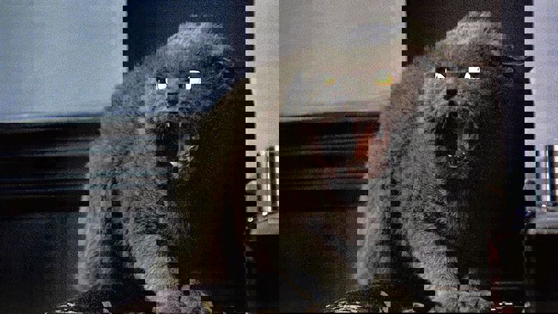 Movie scene