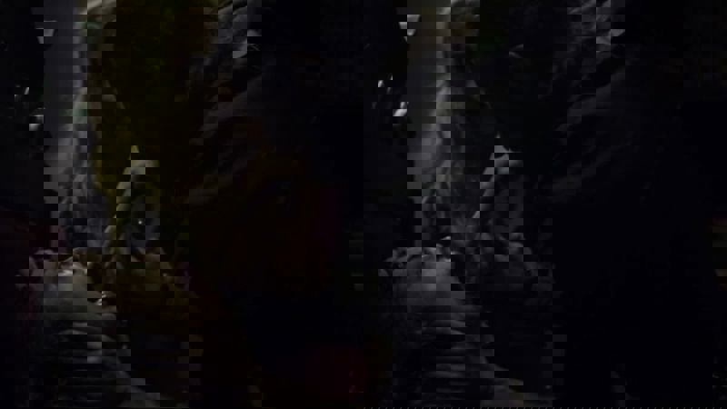 Movie scene