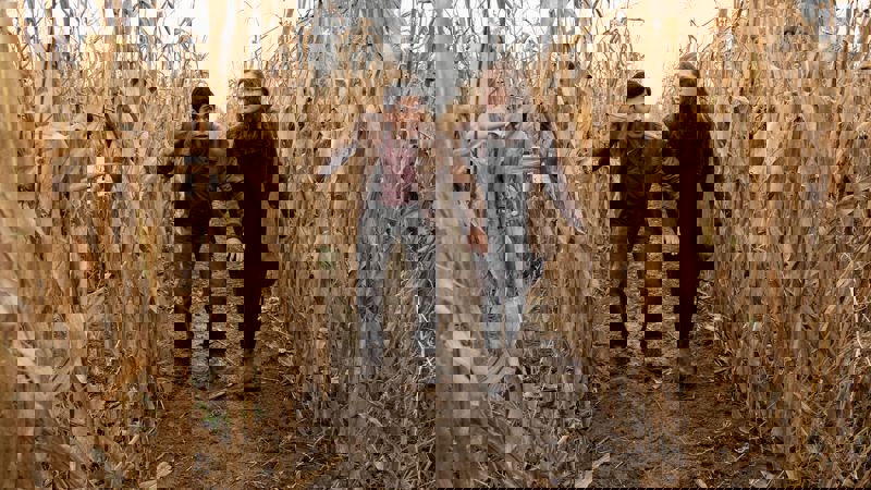 Movie scene