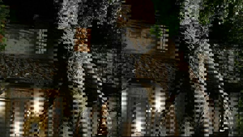 Movie scene