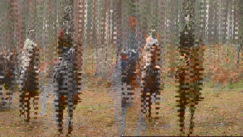 Movie scene