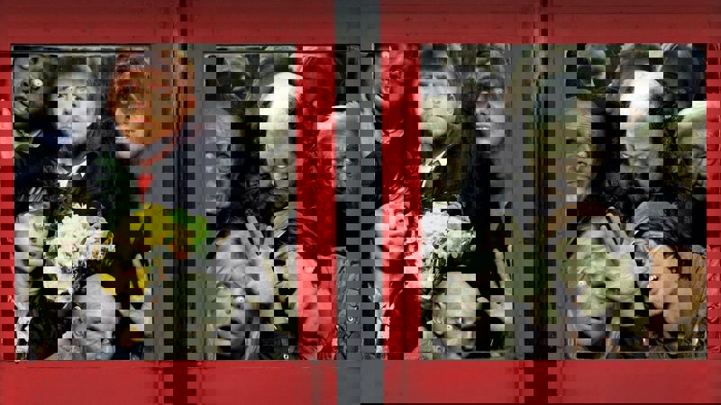 Movie scene