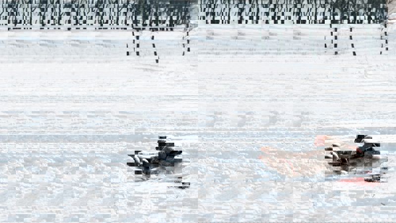 Movie scene