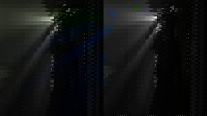 Movie scene