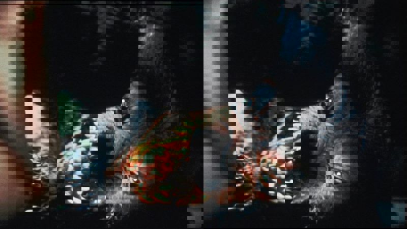 Movie scene