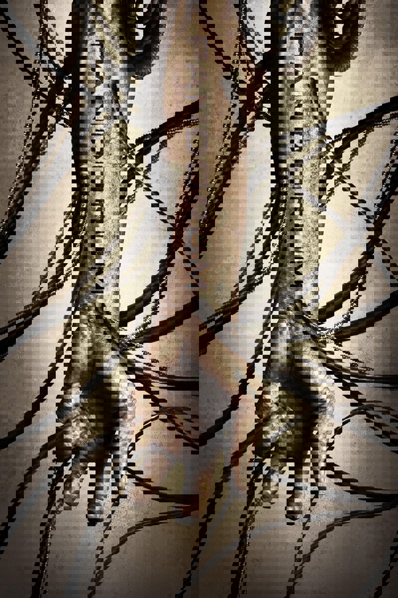 Pandorum