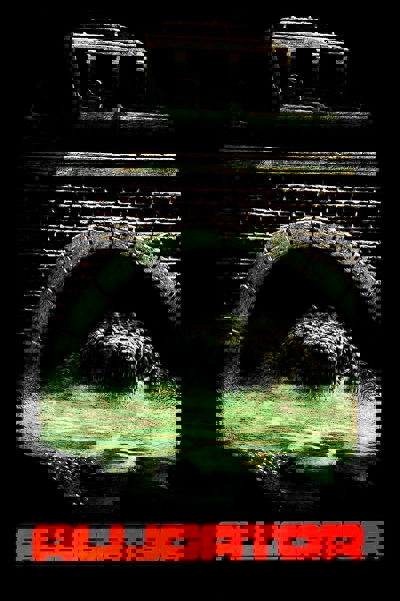Alligator