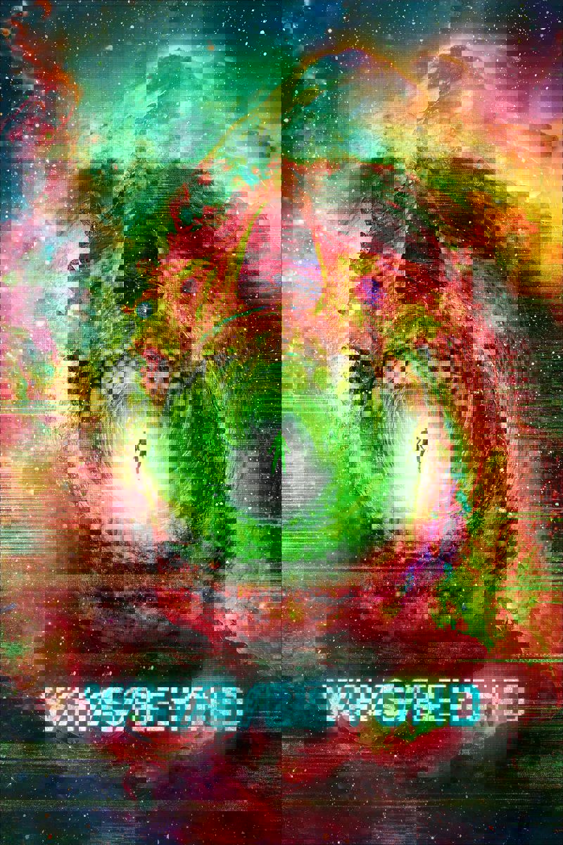 V/H/S
